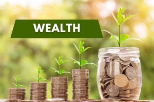 Wealth thumbnail